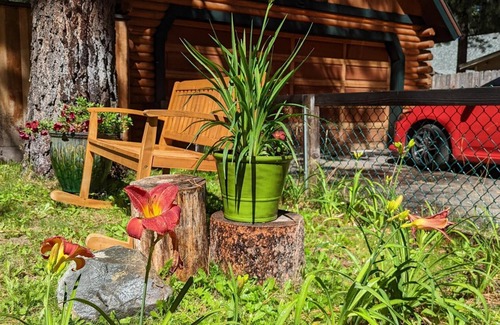Al Tahoe Cabina | 3BD Pet-Friendly Log Cabin | Fast Wifi | Hot Tub | By Lake | Ski