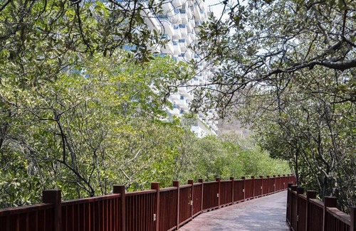 Urb Plenomar Apartamento | 3BR Ocean View Apartment Pozos Colorado
