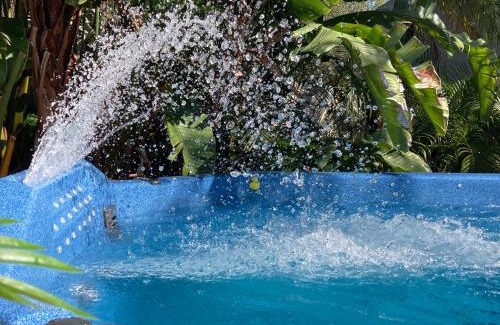 Ozona Hotel | 3Gulls Inn Ozona-Boutique Hotel-Steps from Restaurants & Brewery-SwimSpa Pool-Pet Friendly