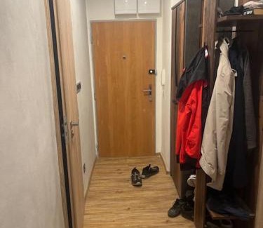 Havirov Apartamento | 3kk - centrum Havířova