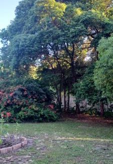 Groveland Cama Y Desayuno | 4 20 FRIENDLY Theme PARK ACCESS Antique Rose Garden FIREPLACE Suite