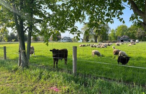Tillsonburg Apartamento | 4 bedroom apartment on 75 acre farm