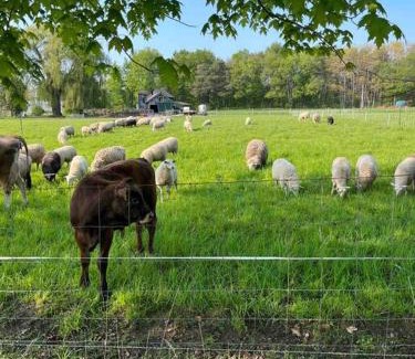 Tillsonburg Apartamento | 4 bedroom apartment on 75 acre farm