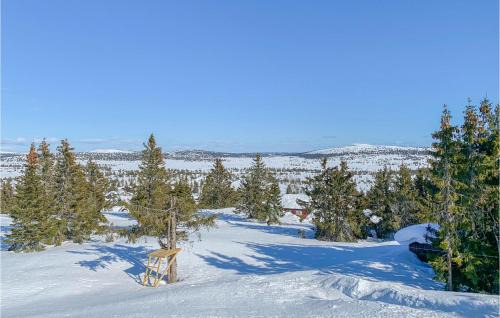 Ringsaker Casa | 4 Bedroom Beautiful Home In Sjusjøen