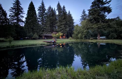 Amboy Casa | 4-Bedroom Chateau in Southern Washington- Luxurious Retreat with Pond & Creek