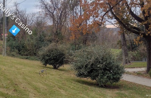 Vicksburg Casa | 4-bedroom house in historic Vicksburg with AC, WiFi, Pet friendly.