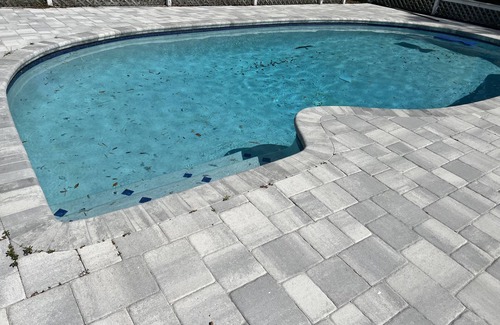 Greater Northdale Casa | 4 Bedroom House with a Pool! 15 minutes from the TPA Airport!