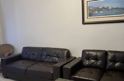 Greater Northdale Casa | 4 Bedroom House with a Pool! 15 minutes from the TPA Airport!