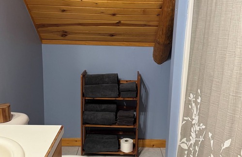 Barryton Cabina | 4-bedroom log cabin lodge with Heated in-ground pool, fiber internet and AC