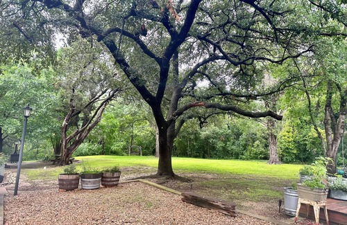 Landon Branch Apartamento | 4 miles from Downtown this charming studio offers a cozy retreat for your stay.