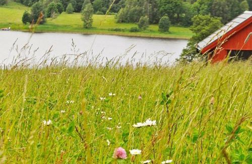 Frandefors Casa | 4 person holiday home in Frändefors