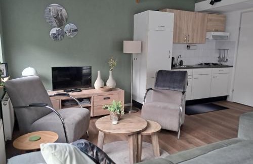 Tzummarum Chalet De Esquí | 4-persoons vakantiehuisje Simmerwille