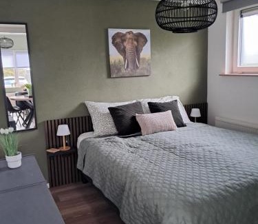 Tzummarum Chalet De Esquí | 4-persoons vakantiehuisje Simmerwille