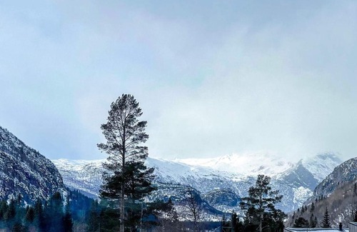 Hemsedal Apartamento | 4 star holiday home in Hemsedal
