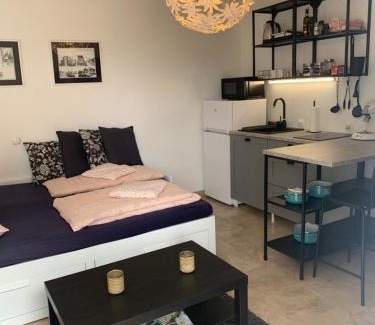 Praputnjak Apartamento | 4 star studio apartment