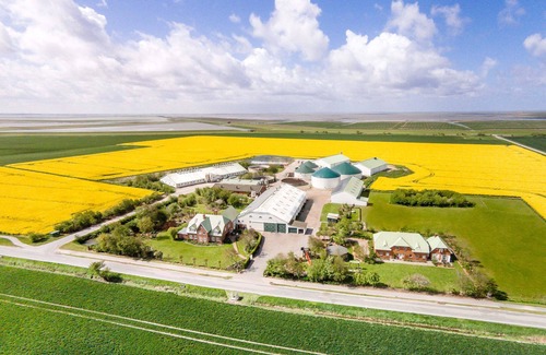Sonke-Nissen-Koog Apartamento | 4-star vacation apartment "Gröde" in country house flair with feel-good guarantee