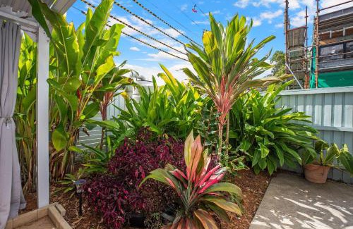 Port Macquarie Casa | 41A Orr Street
