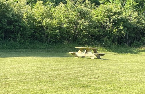 Wayne County Apartamento | 420 Friendly secluded getaway - pets welcome