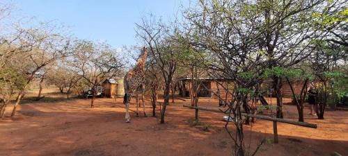 Marloth Park Apartamento | 462 Bosbok Chalets