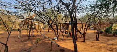 Marloth Park Apartamento | 462 Bosbok Chalets