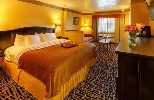 Jackson Hotel | 49'er Inn & Suites