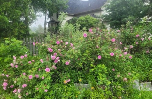 Bucksport Casa | 4Br Farmhouse @The Narramissic Manor with Sunrise views of Great Pond Mountain
