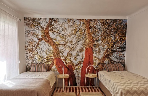 Castro Verde Apartamento | 4Bs - Birds & Bicycles