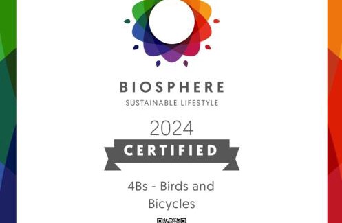Castro Verde Apartamento | 4Bs - Birds & Bicycles