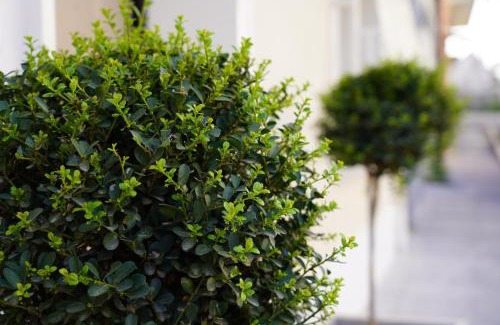 Lamezia Terme Cama Y Desayuno | 4ROOMS b&b - HOLIDAY HOME