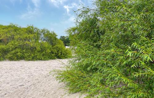 Vastergarn Casa | 5 Bedroom Cozy Home In Gotlands Tofta