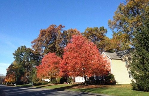 Clifton Park Casa | 5 bedroom House.15 mins to Everything Albany,Schenectady,Saratoga Race track!