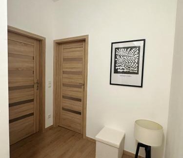 Lierenfeld Apartamento | 5 Betten Montuerwhonung mit Waschmaschine