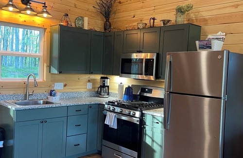 Charlevoix Cabina | 5 minutes to town, New Cabin-2/4 adults or family up to 4 kids. Beach 2 miles.