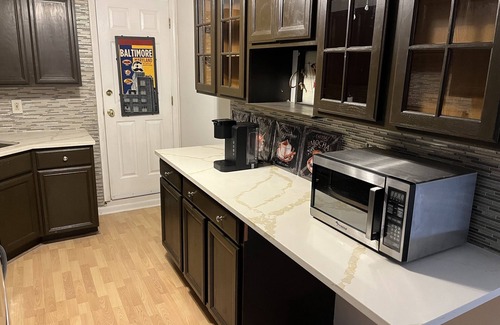 Locust Point Casa | 50 Shades of Blue -McHenry Row