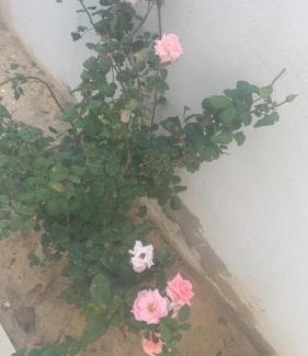 Hammamet Apartamento | 5min de la zone touristique 400metre de la plage appartement chic S plus 1
