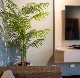 Suramericana Apartamento | 5STARHOMES - Estilo y confort en Laureles