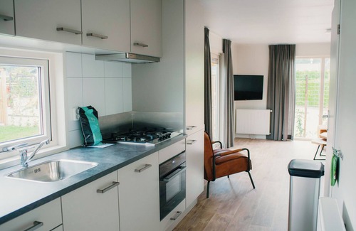 Voorthuizen Complejo | 6 + 6 person Veluwelodge XL with grill house