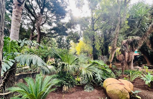 Greater Johannesburg Metropolitan Area Casa | 6 on Columbus Guesthouse