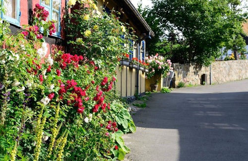 Allinge Casa | 6 Person Holiday Home in Allinge