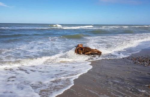 Skagen Casa | 6 person holiday home in Skagen-By Traum