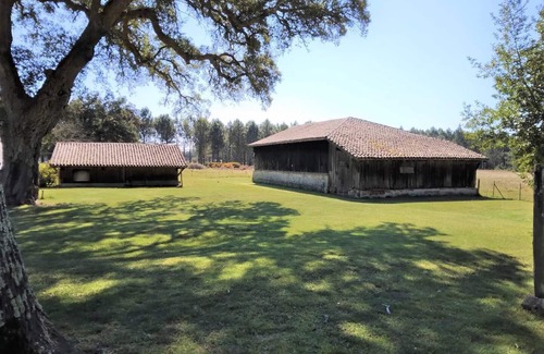 Vielle-Saint-Girons Apartamento | 6 Room apatement between forest and ocean