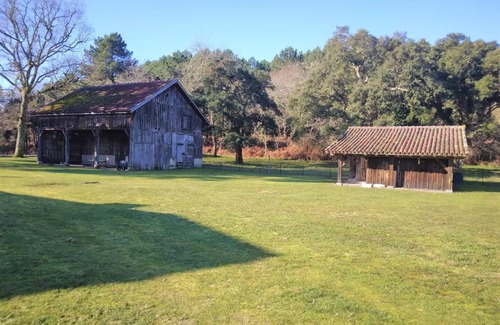Vielle-Saint-Girons Apartamento | 6 Room apatement between forest and ocean