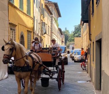 Lucca Historical Center Apartamento | 6 Via della Rosa