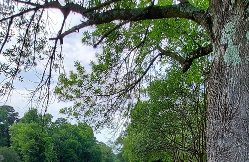 Shreveport Casa | 6011 On The Ponderosa