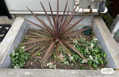 Naka Apartamento | 62平米快適滞在!横浜中華街&山手エリアの静かな一軒家