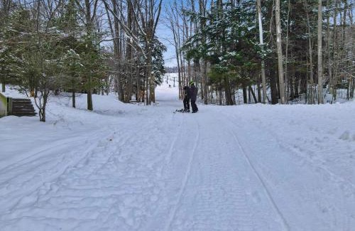 Boyne Falls Casa | 679 Disciples Village Unit