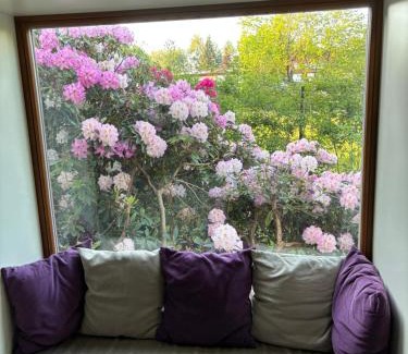 Ricany Villa | 7 Bedroom Secluded Villa close to Prague