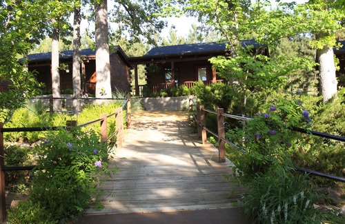 Tulsa Cabina | #7 Colorado Wildlife Cabin