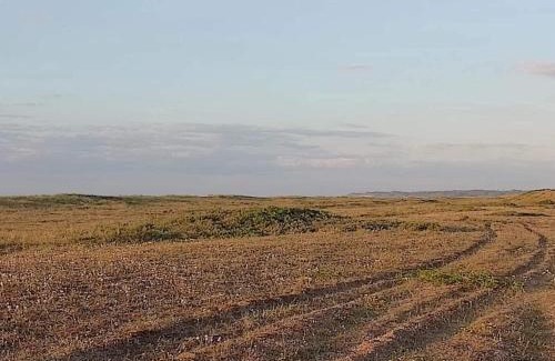 Torup Strand Casa | 7 person holiday home in Fjerritslev-By Traum