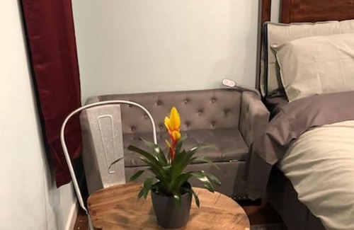 Rodeo Casa | 703 Mariposa St (Garage) · Great Rodeo Brand New Mini Studio